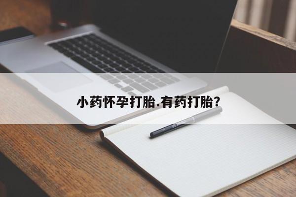 网上怎么购买打胎药联系方式小药怀孕打胎.有药打胎？