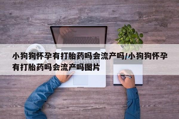 网上怎么购买打胎药联系方式小狗狗怀孕有打胎药吗会流产吗/小狗狗怀孕有打胎药吗会流产吗图片