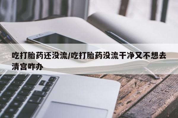 网上怎么购买打胎药联系方式吃打胎药还没流/吃打胎药没流干净又不想去清宫咋办