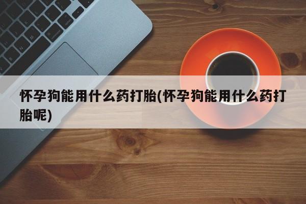 网上怎么购买打胎药联系方式怀孕狗能用什么药打胎(怀孕狗能用什么药打胎呢)